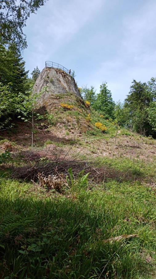 Apartamento Urlaub Auf Dem Haenslehof Elzach Exterior foto