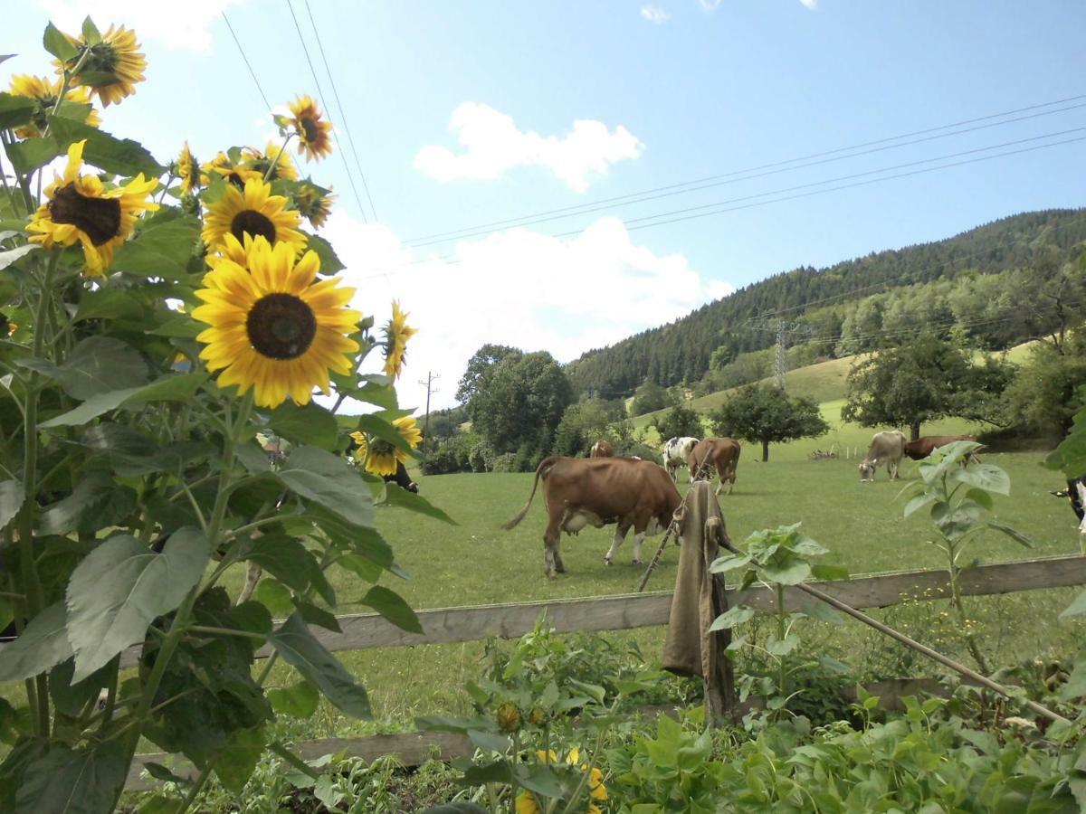 Apartamento Urlaub Auf Dem Haenslehof Elzach Exterior foto